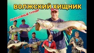 Волжский хищник 2019. Рыболовный турнир