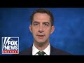 Tom Cotton calls out Biden's travel ban hypocrisy on omicron variant