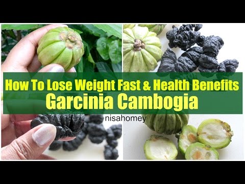 Garcinia Cambogia For Weight Loss & Health Benefits -  Lose Weight With Kudampuli - Malabar