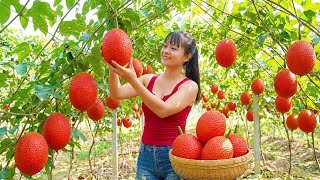 Download Lagu Harvesting 100+ \ MP3