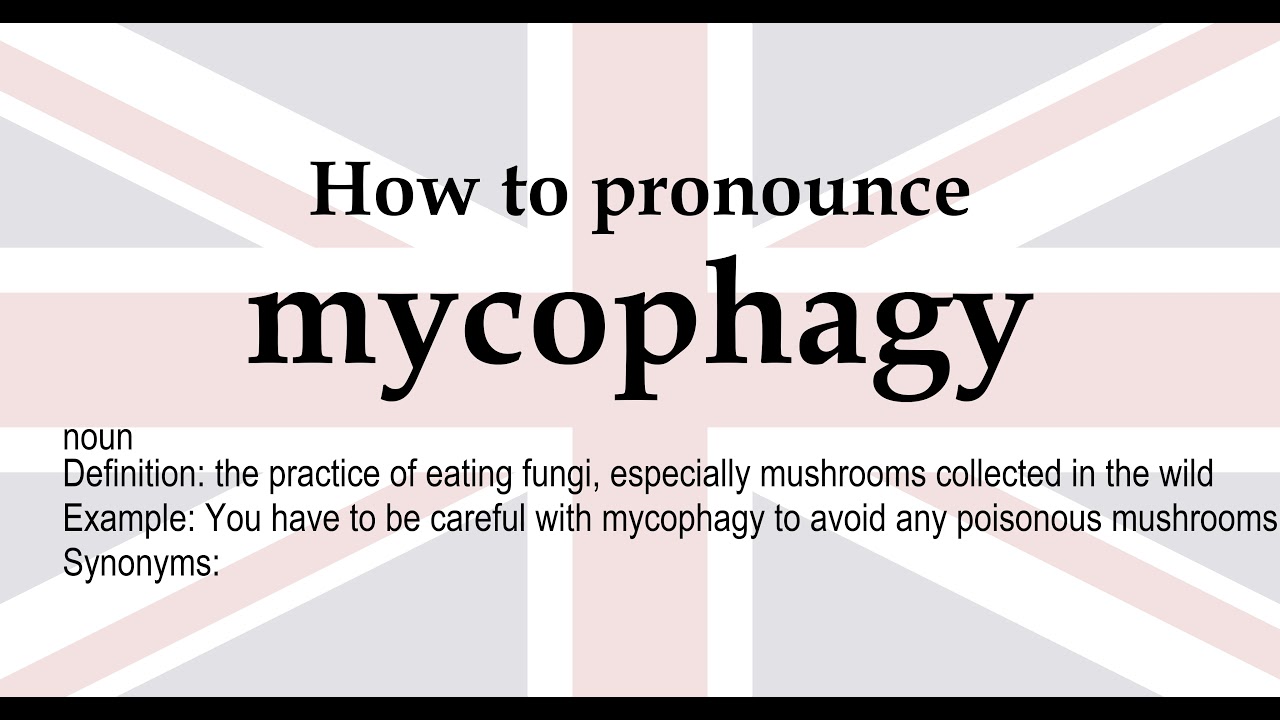 mycophagy