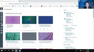 Math1332 Navigation through course video