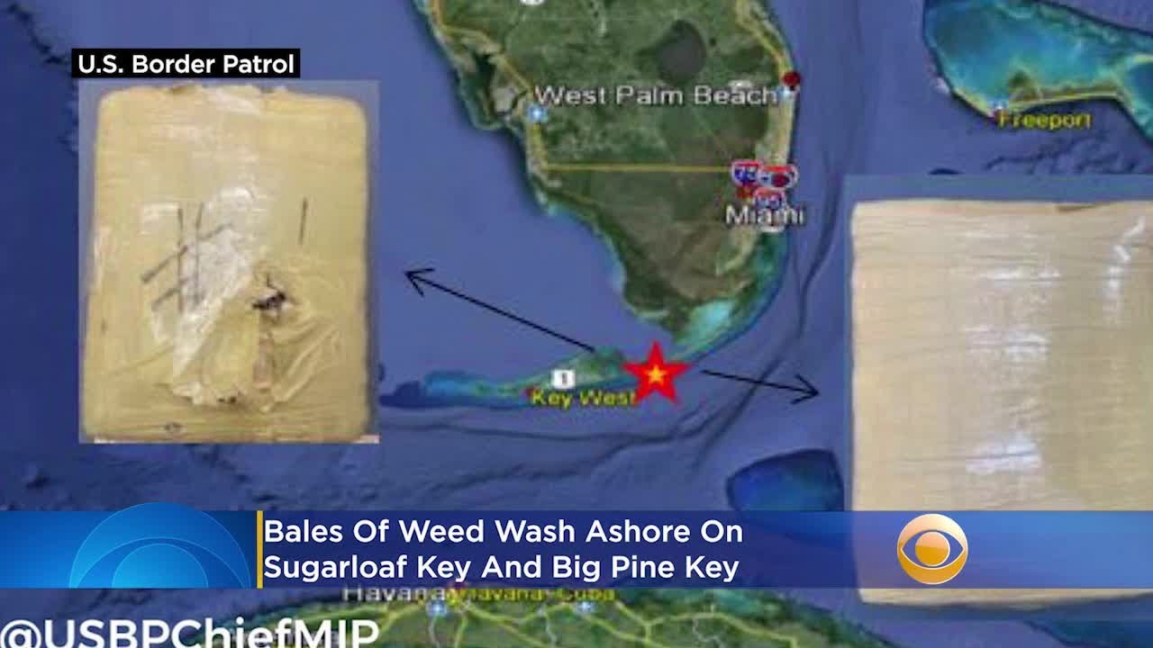 Bales Of Weed Wash Ashore On Sugarloaf Key And Big Pine Key