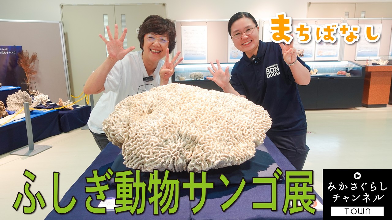 Town Talk] Come see corals that lived 100 million years ago at the