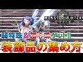 【MHW】太刀・双剣・剣斧 なんでも使えて強すぎる超汎用装備～１０～【モンハン実況】