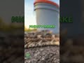 Snake clips you won't believe 🤯