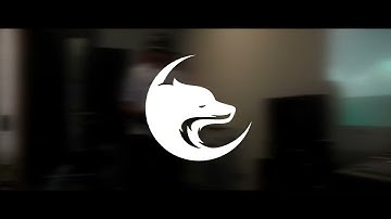 DJ EPEL - Conscius (Vanellins Video)