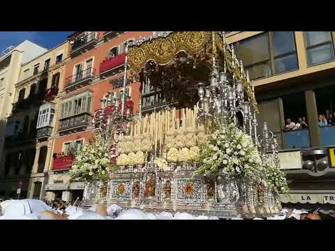 Real, Ilustre y Venerable Hermandad Sacramental de Nuestro Padre Jesús Nazareno de los Pasos en el Monte Calvario y María Santísima del Rocío Coronada