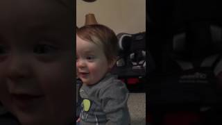 Animal Noises Dec. 2016