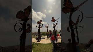 Eclipse Time-Lapse 2024 - Stars visible #eclipse #eclipse2024 #timelapse
