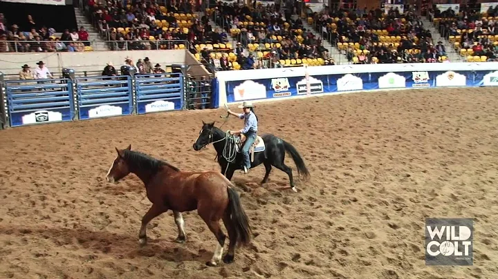 Christy Connor - 2013 NCHA Stockmans Challenge Cha...