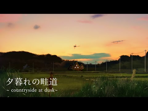 [環境音/ASMR]夕暮れの畦道/用水路の音,ひぐらしの声、クビキリギリス/6時間/@SoundForest-main