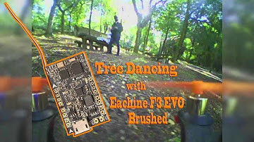 100mm Micro with Eachine F3 EVO Brushed