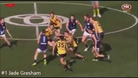 Jade Gresham v WA (2015)