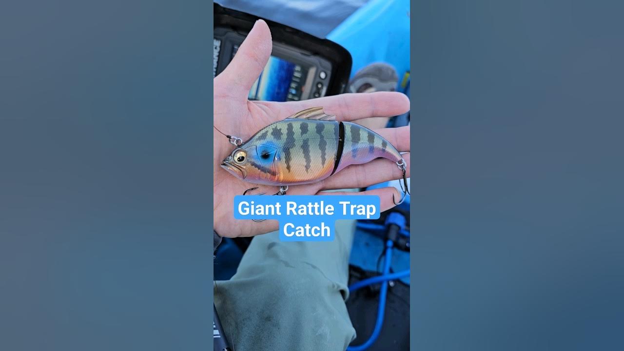 Our Top 5 Favorite Bluegill Imitating Baits To Catch Big Bass This