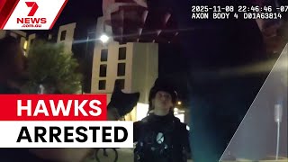 Bodycam footage shows Hawthorn stars' Arizona arrest | 7NEWS