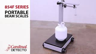 Detecto 854F50P Mechanical Platform Scale-500 lb Capacity