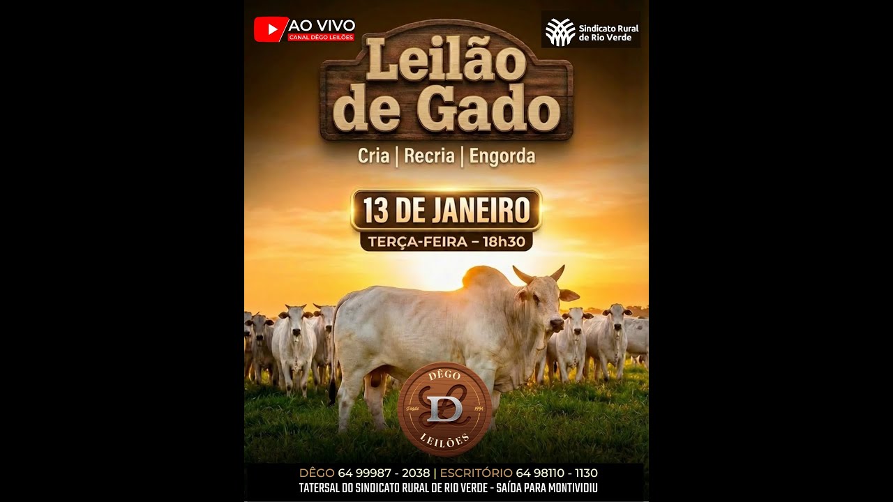 LEILAO DE GADO  13 - 01 - 2026 - Sindicato Rural de Rio Verde - Dêgo Leilões