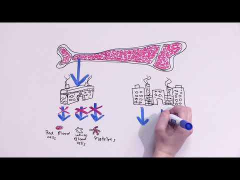 What is stem cell donation?