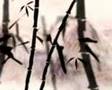 Bamboo Animation