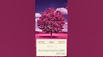 سورة محمد #عبدالباسط_عبدالصمد