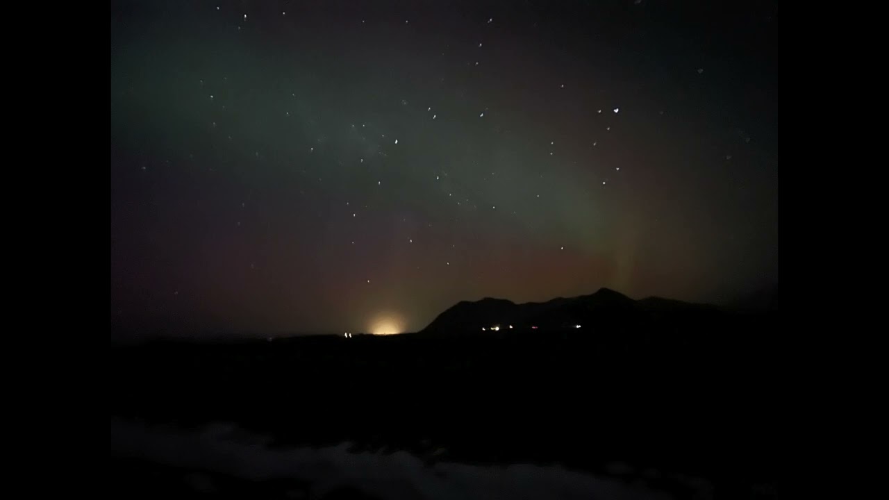 Max Hollingsworth-Hays, Carrion and Scavengers (Low Clarinet Quartet)