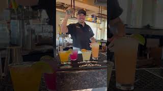 Spotted Donkey el pedregal