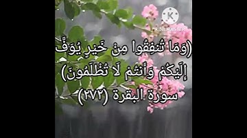 (وما تنفقوا من خير فلأنفسكم)🌹قرآن كريم راحة نفسية💖💕