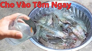 Hóa Ra Cho Thứ Này Vào Tôm Trước Khi Luộc Tôm Sẽ Không Có Bị Tanh. 1 Ông Lão Ngư Dân Đã Dạy Cho Tui