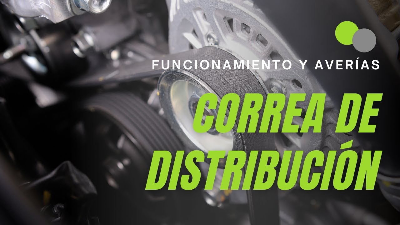Correa de distribucion Mecánicos y talleres d ereparación de vehículo  baratos