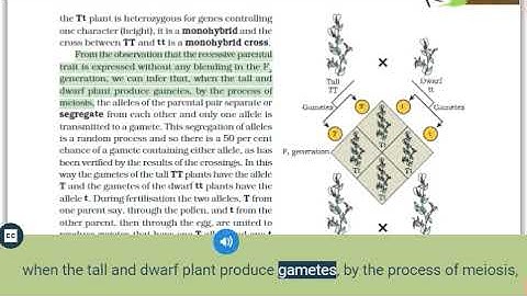 class 12 biology chapter 5 principles of inheritance and variation neet | FULL AUDIOBOOK | Neet 2021