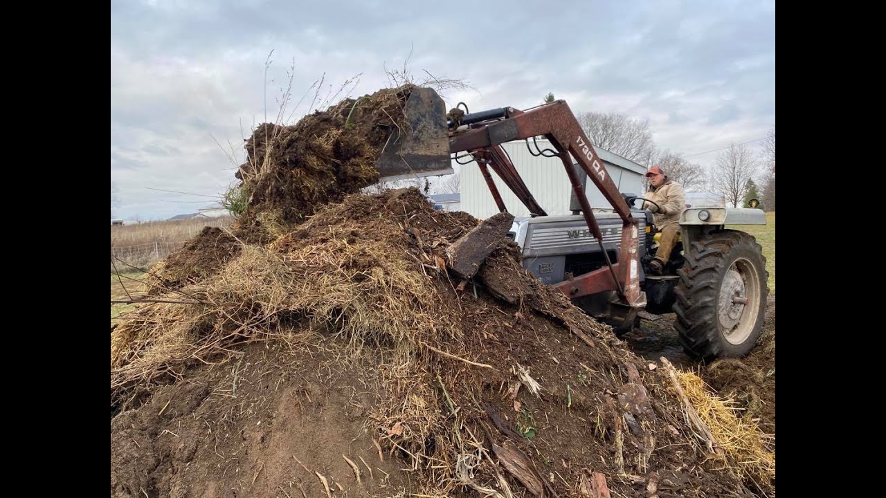 Build Soil Now! Turn Your Goat Poop Into Compost YouTube