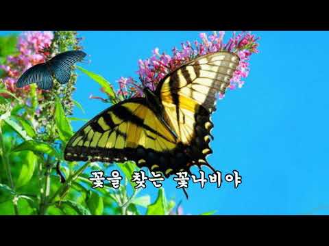 [일천45 뮤직] 꽃나비야 - 가수 조현미(신곡)