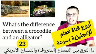 أروع قناة لتعلم اللغة الإنجليزية بسرعة في كورس يضم 380 درس من الصفر إلى الإتقان Learn English