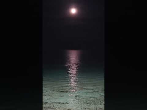 طير فيني فوق الحدود الغمام اصيل هميم اختصرلي اصيل اغاني اغاني عراقية هدوء البحر عشاق أصيل هميم