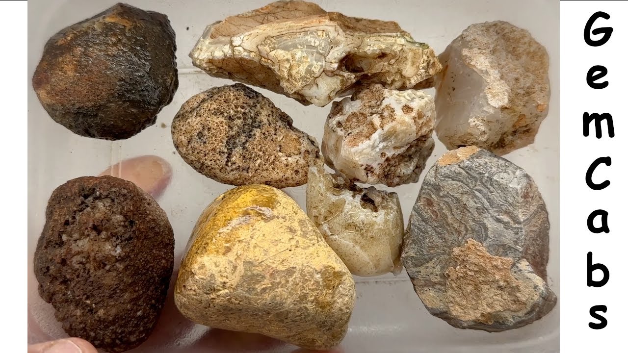 Group of Miscellaneous Arizona Rocks Cut Open to Reveal What is Hiding ...