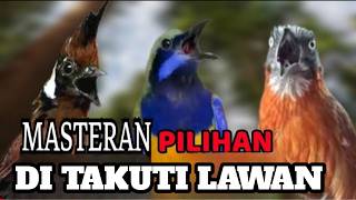 LEGENDA MASTERAN BURUNG BURUNG JUWARA TERBAIK TAHUN INI