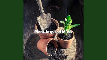 Distinguished Backdrops for Playing Flashbacks