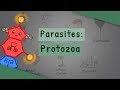 Parasites: Protozoa (classification, structure, life cycle)