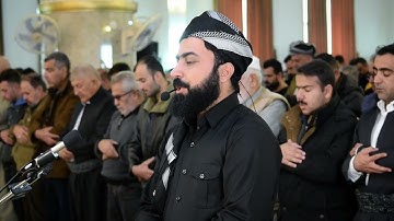 تلاوة هادئة مليئة بالهدوء والطمأنينة بمقام الكرد من سورة{ القلم} بصوت القارئ هلو امين الكردي