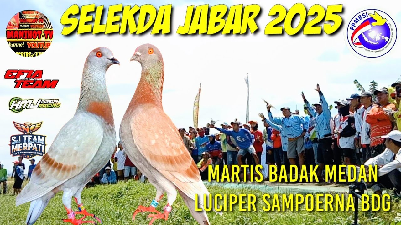 Grand Final Merpati Balap Junior Selekda Jabar 2025