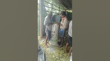 Silage Bag 50kg