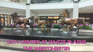 City Center at White Plains & The Westchester: A Tale of Two Malls