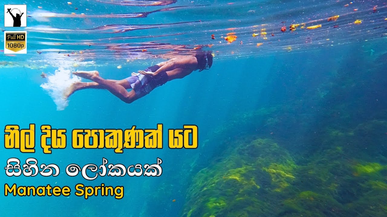 නිල් දිය පොකුණක් යට සිහින ලෝකයක් | Blue Water Spring Dream World ...