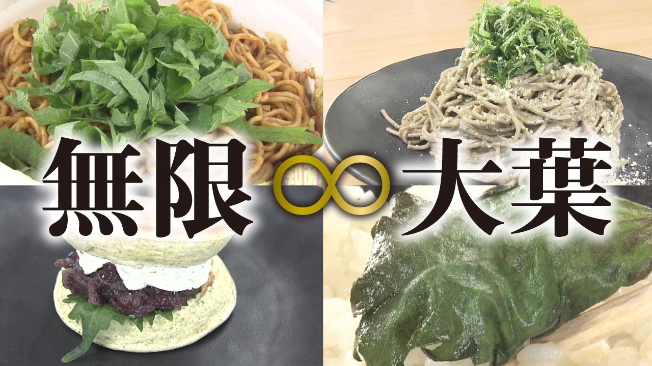 【365日大葉を食べる男が教える】激ウマ大葉グルメ＆革命アレンジ！！【愛知あたりまえ】