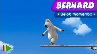 Bernard Bear Diving Bernard Best Moments
