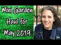 Mini Garden Haul May 2019