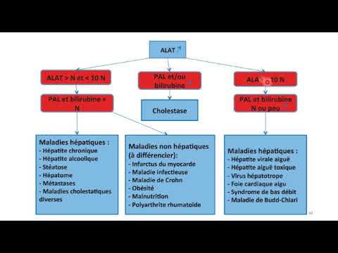 Vidéo: Modifications De La Fonction Hépatique Après Chimioembolisation Transartérielle Chez Les Patients Atteints De Carcinome Hépatocellulaire Aux États-Unis: L'étude LiverT