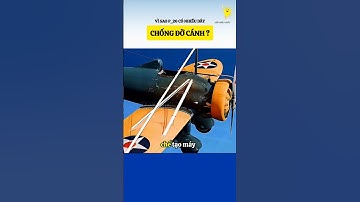 Vì sao p_26 có nhiều dây chống đỡ cánh ?#bietthemchut