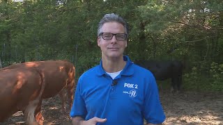 Tim Ezell s Inspirational Moments The blessing of second chances